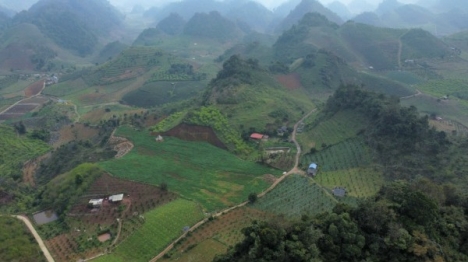 Mộc Châu mảnh đất tiền tài