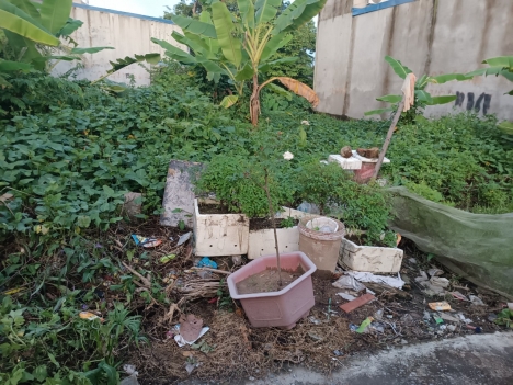 TDP phấn dũng Dương Kinh Hải Phòng . 17 tr m