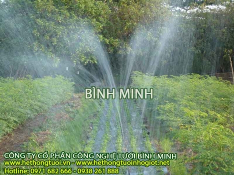 Tưới phun mưa azud, tưới nông nghiệp, hệ thống tưới tự động kiểu phun mưa