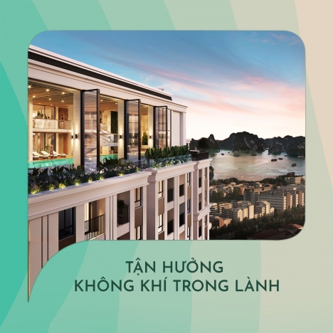 THANH XUÂN NHƯ MỘT LY TRÀ -CHỚP NGAY CƠ HỘI MUA NHÀ HƯỞNG AN & THE DRAGON CASTLE HẠ LONG-BÃY