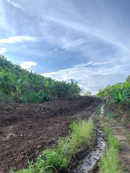 Chốt lô đất vườn View đẹp cách quận 2 chỉ 50p chỉ 900tr-1000m2 liên hệ em Hòa