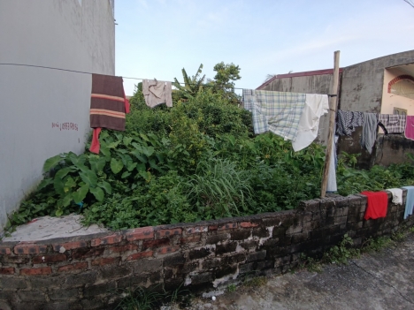 ngõ 3 m TDP phấn dũng Dương Kinh Hải Phòng . 16,5 tr m