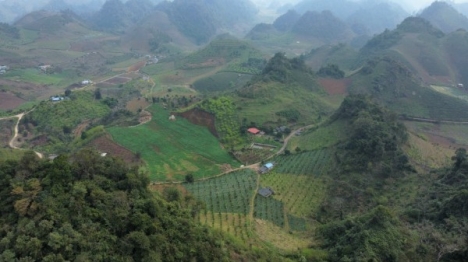 Mộc Châu mảnh đất tiền tài