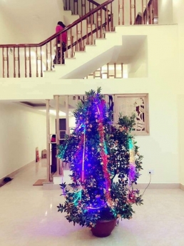 Chính chủ cần bán nhanh căn nhà 5 tầng mới tại địa chỉ Thị trấn Bần Yên Nhân , Thị xã Mỹ Hào, Tỉnh