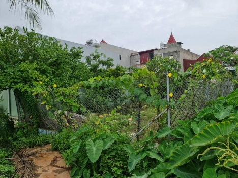 tuyến 2 phạm văn đồng mặt đường 6m.  16tr m