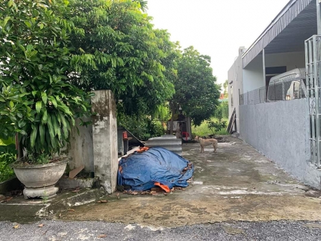 bình minh hợp đức Đồ Sơn Hải Phòng . 14 tr m