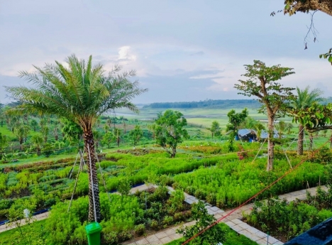 CẦN TIỀN MỞ TRẠI CHĂN NUÔI HEO Ở QUÊ - BÁN GẤP 4 SÀO ĐẤT TẠI HỒ TRỊ AN - ĐỒNG NAI