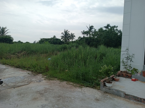 Minh đức Đồ Sơn Hải Phòng . chỉ có  750tr