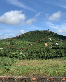 Chính chủ cần bán hơn 2,2ha đất view hồ Daklong Thượng, đất chưa qua đầu tư