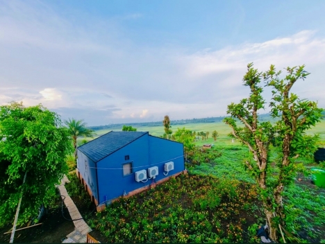 CẦN TIỀN MỞ TRẠI CHĂN NUÔI HEO Ở QUÊ - BÁN GẤP 4 SÀO ĐẤT TẠI HỒ TRỊ AN - ĐỒNG NAI