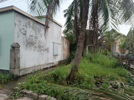 TDP Dân Tiến Minh đức Đồ Sơn Hải Phòng . chỉ có  1,15tr