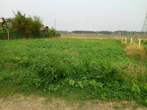 CẦN TIỀN MỞ TRẠI CHĂN NUÔI HEO Ở QUÊ - BÁN GẤP 4 SÀO ĐẤT TẠI HỒ TRỊ AN - ĐỒNG NAI