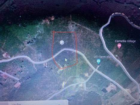 Chính chủ cần bán hơn 2,2ha đất view hồ Daklong Thượng, đất chưa qua đầu tư
