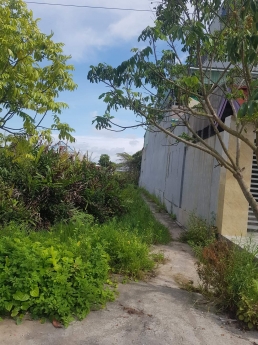 mặt  đường mạc phúc tư tân lập tâm thành 3,9 tỷ