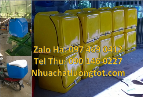 Thùng giữ nhiệt xe máy, thùng chở hoa quả, thùng chở hàng sau xe máy thùng giao hàng cao cấp, Thùng