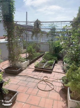 CHỦ CẦN TIỀN BÁN GẤP NHÀ 3 TẦNG ĐÚC KIỆT 7M ĐƯỜNG TRẦN CAO VÂN