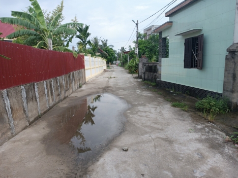 TDP Dân Tiến Minh đức Đồ Sơn Hải Phòng . chỉ có  1,15tr