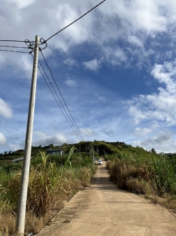 Cần tiền bán gấp 530m2 đất NN sổ riêng view thoáng giá chỉ 2.3 tỷ