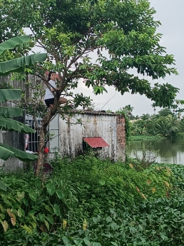 tổ 9 hòa nghĩa Dương Kinh  HP giá chi có 1,15 tỷ