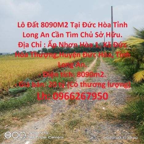 Lô Đất 8090M2 Tại Đức Hòa Tỉnh Long An Cần Tìm Chủ Sở Hữu.