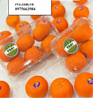 Cách bảo quản 1kg trái cây, rau củ hiệu quả bằng hộp nhựa P1000A