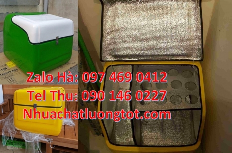 thùng chở hàng nhanh, Thùng giao hàng đông lạnh, Thùng giao hàng giá rẻ, Giá thùng nhựa giao hàng, T