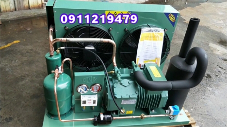 Cụm máy nén bitzer 6hp 4CES-6 tại TP.HCM