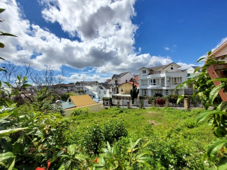 Cần bán gấp Đất mặt tiền kinh doanh đường Vạn Hạnh, Đà Lạt 486m2 giá 27 tỷ