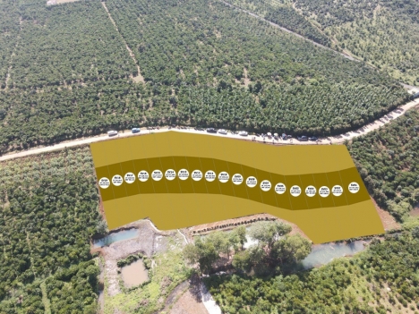 6000 m2 Bảo lộc lâm đồng