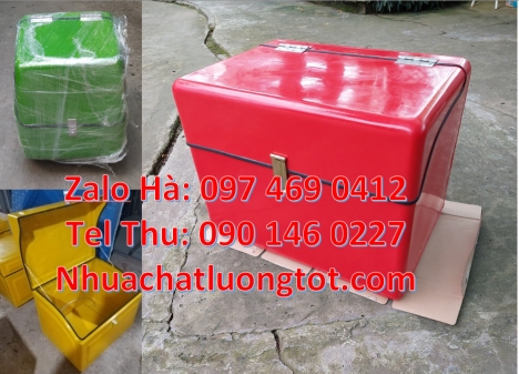 thùng chở hàng nhanh, Thùng giao hàng đông lạnh, Thùng giao hàng giá rẻ, Giá thùng nhựa giao hàng, T