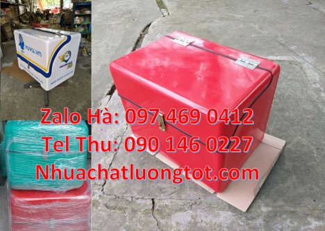 thùng chở hàng nhanh, Thùng giao hàng đông lạnh, Thùng giao hàng giá rẻ, Giá thùng nhựa giao hàng, T