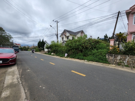 Cần bán gấp Đất mặt tiền kinh doanh đường Lý Nam Đế, Đà Lạt 382m2 giá 32 tỷ