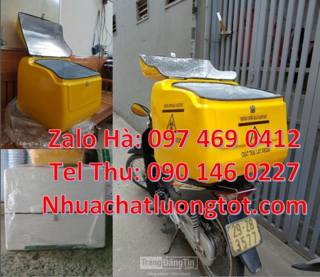 thùng chở hàng nhanh, Thùng giao hàng đông lạnh, Thùng giao hàng giá rẻ, Giá thùng nhựa giao hàng, T