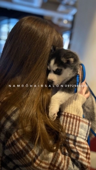 Nhuộm Tóc Làm Màu Nâu Vàng Sáng Đẹp Giá Rẻ Hoài Đức - Nam Đỗ Hair Salon