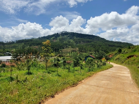 Cần bán gấp đất nông nghiệp rộng view đẹp tại ĐaSar, Lạc Dương 5000m2 giá chỉ 2.6 tỷ