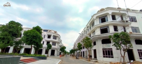 Bán dự án Calyx Residence - Khu nhà ở 319 Uy Nỗ Đông Anh hàng F1