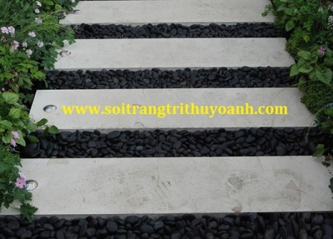 Sỏi đen bóng trang trí lối đi sân vườn