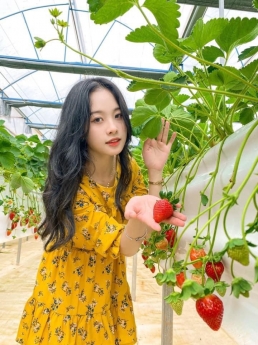 Tour Đà Lạt Lễ 2/9 3N3Đ giảm giá cực sốc