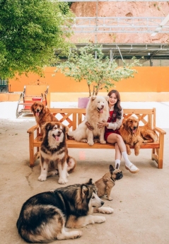 Tour Đà Lạt Lễ 2/9 3N3Đ giảm giá cực sốc