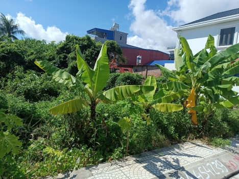 mặt đường hải thành  dương kinh Hải Phòng 26,3 tr mt