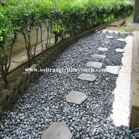 Sỏi đen bóng trang trí lối đi sân vườn