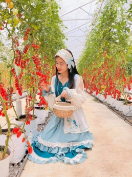 Tour Đà Lạt Lễ 2/9 3N3Đ giảm giá cực sốc