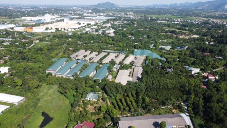 BÁN ĐẤT MẶT HỒ GẦN HỒ ĐỒNG CHANH,LƯƠNG SƠN,HB,2250M2,LÔ GÓC 2 MẶT TIỀN, 5,3TR/M2