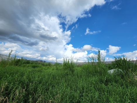 Cần tiền bán gấp nhà giá rẻ 2.3 tỷ đường Đặng Thái Thân, Phường 3, Đà Lạt giá 2.3 tỷ