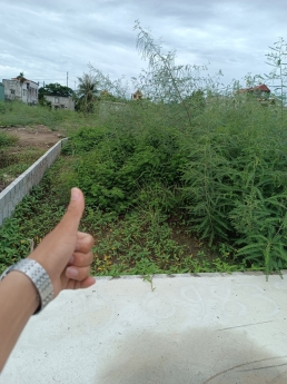 chủ bán lô mặt ngõ 3 m  TDP quý kim 3 Hợp Dứcd Đồ Sơn HP  1,2 tỷ