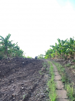 Đất xào giá siêu rẻ có sổ riêng biệt View đẹp thông thoáng khí hậu thích hợp để nghỉ ngơi chỉ 900