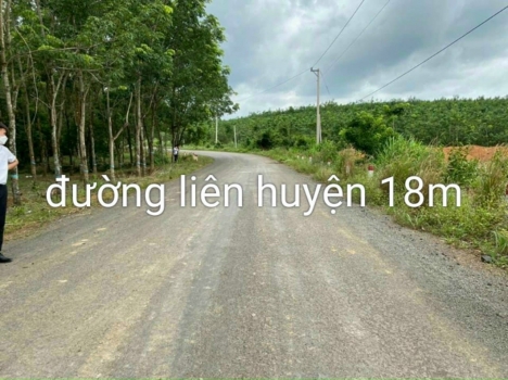 CHÍNH CHỦ BÁN ĐẤT QL13 - BÌNH PHƯỚC SỬA NHÀ CHO BA MẸ