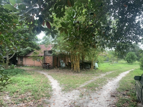 Bán đất sân bay Long Thành cho nhà đầu tư