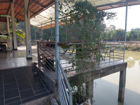 Bán đất sân bay Long Thành cho nhà đầu tư