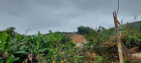 MẢNH ĐẤT 13.000M2 -  ĐÓN SÓNG KHU DU LỊCH